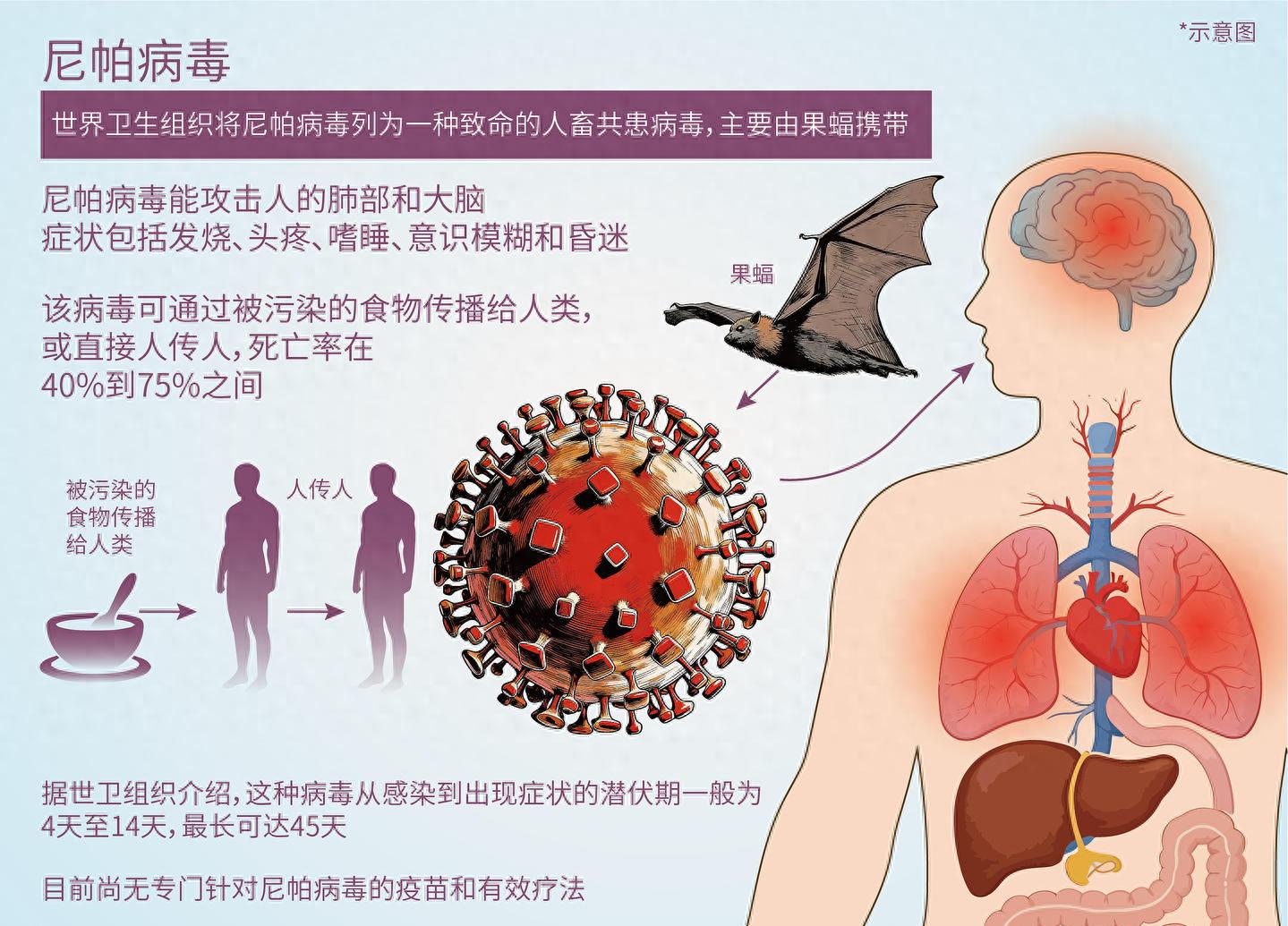 2026年1月下旬印度西孟加拉邦爆发尼帕病毒疫情详情
